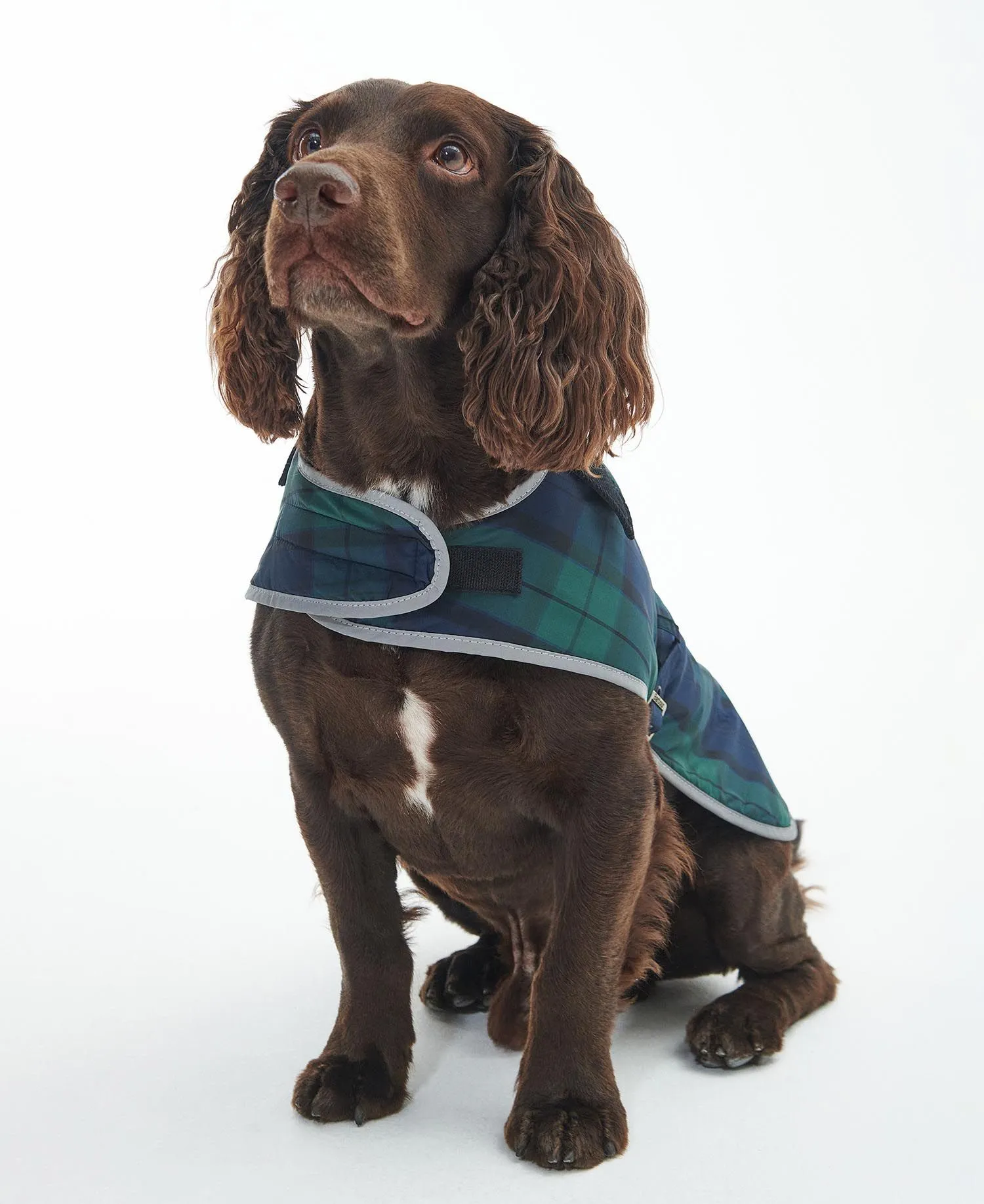 Barbour Wetherham Tartan Dog Coat Blackwatch Tartan